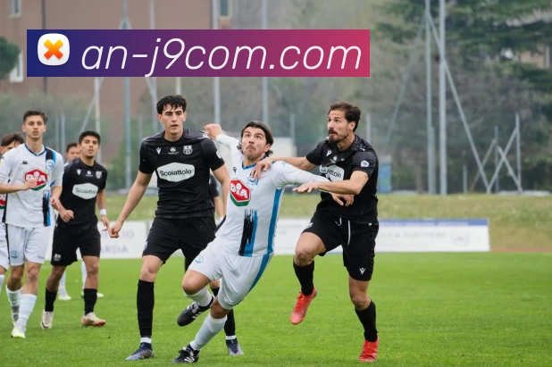 九游会官网全站App